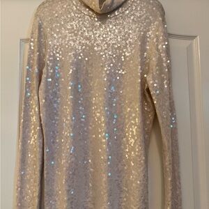 Express Sequin Long Sleeve Turtleneck